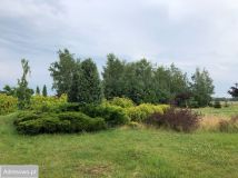 dom wolnostojący, 6 pokoi Murzynowo Leśne, ul. Poznańska. Zdjęcie 4