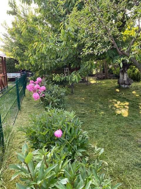 Działka rod Świdnica, ul. Esperantystów. Zdjęcie 3