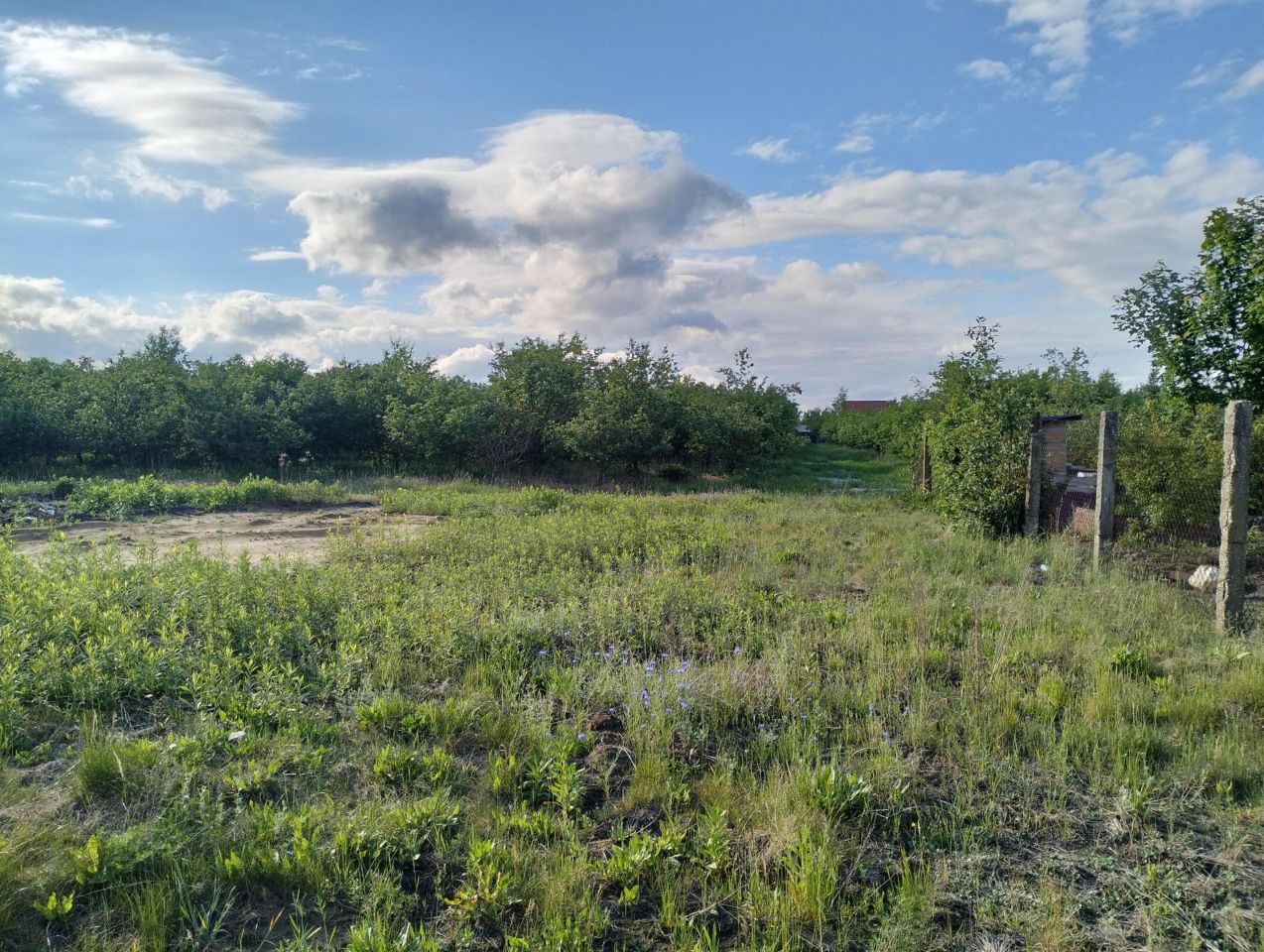Działka budowlana Ławki, ul. Główna. Zdjęcie 3