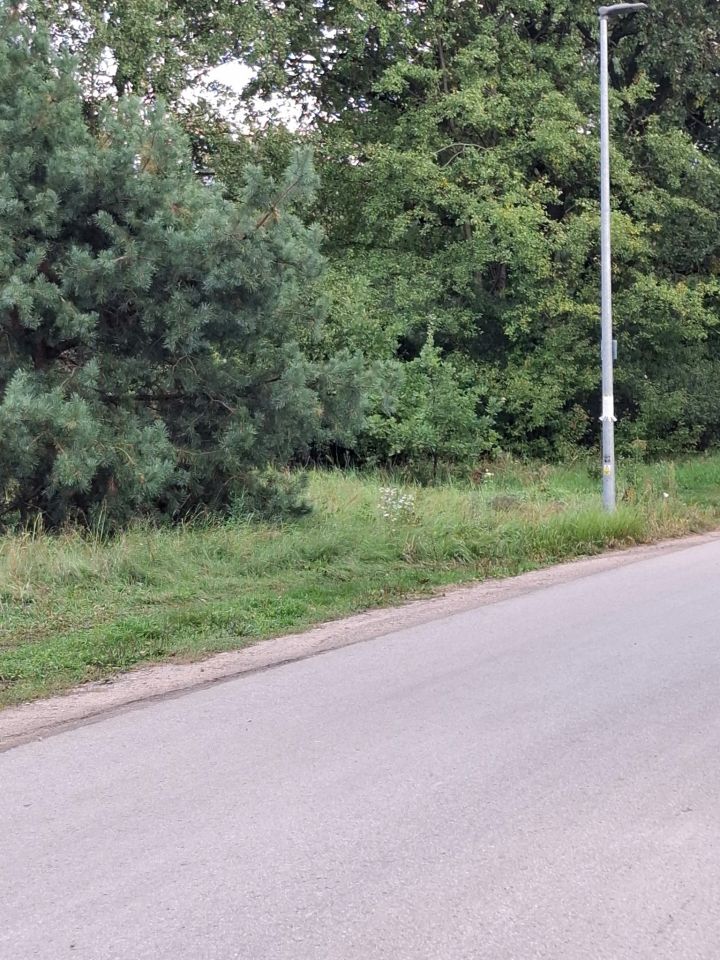 Zdjęcie 3