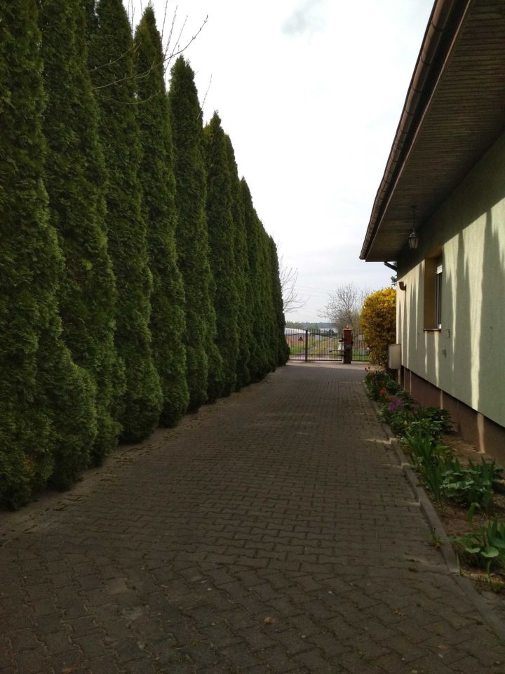 dom wolnostojący Kalisz Winiary. Zdjęcie 2