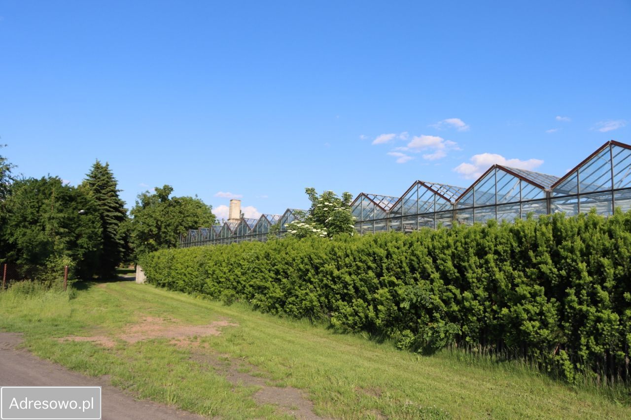 Działka rekreacyjna Antoniówka Świerżowska. Zdjęcie 8