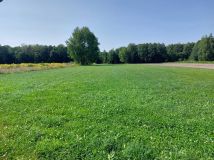 Działka rolna Grzmucin. Zdjęcie 2