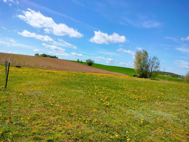 Działka rolno-budowlana Oracze. Zdjęcie 1