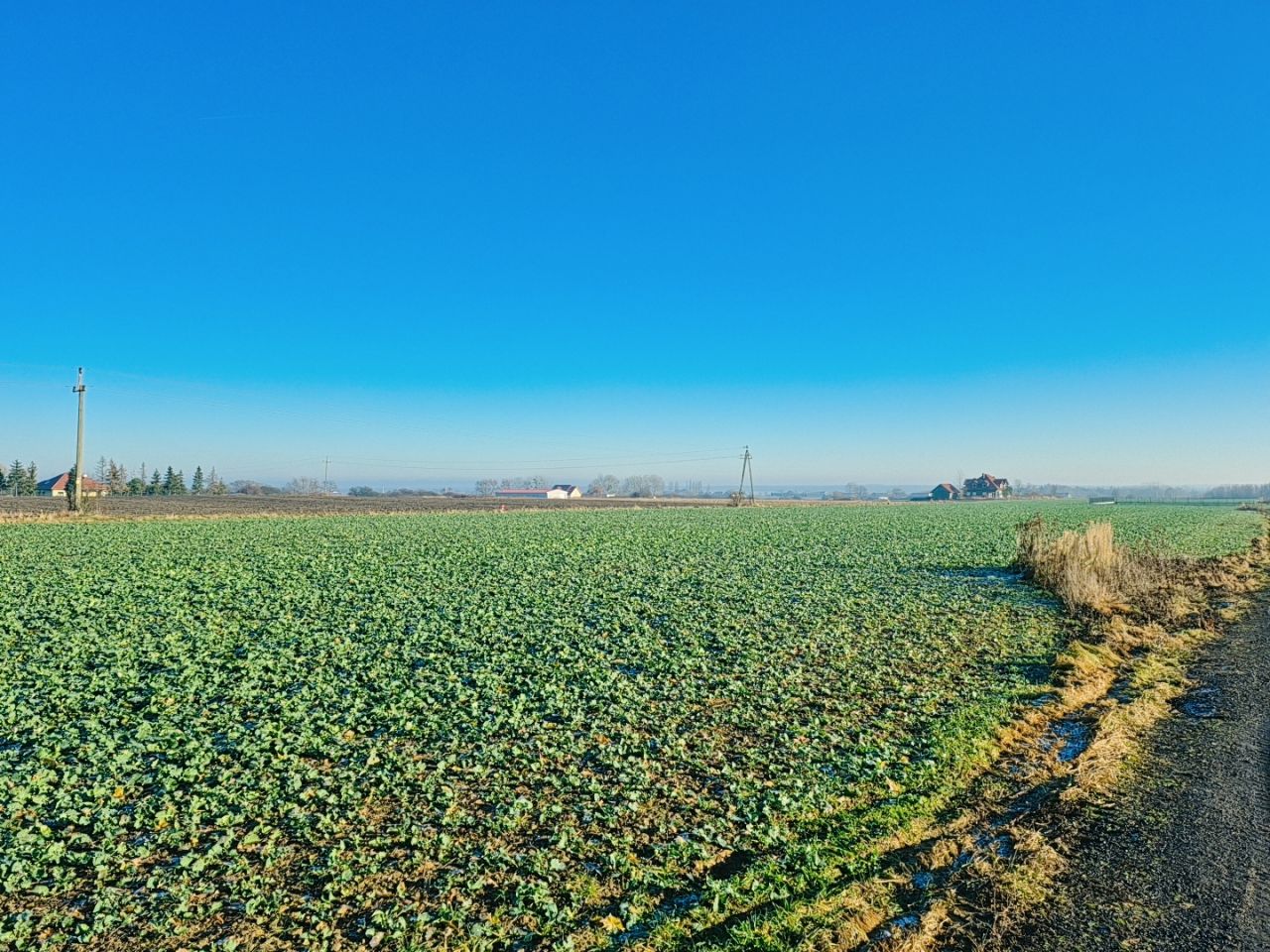 Działka budowlana Brzezina, ul. Lawendowa. Zdjęcie 3