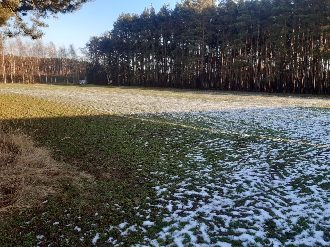 Działka budowlana Stefanowo. Zdjęcie 2