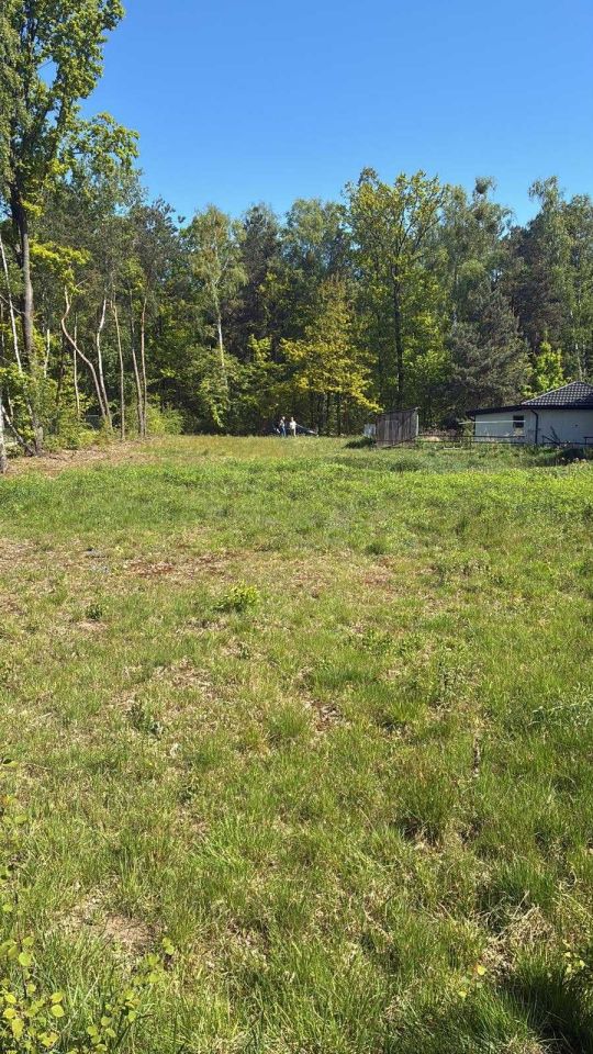 Działka budowlana Teodorowo. Zdjęcie 4