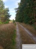Działka budowlana Smołdzino, ul. Jeziorna. Zdjęcie 3