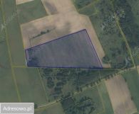 Działka inwestycyjna Żółtnica. Zdjęcie 3