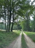 Działka rolna Rakoniewice. Zdjęcie 3