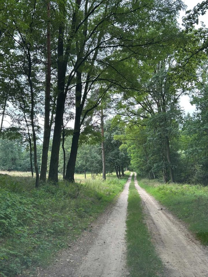 Działka rolna Rakoniewice. Zdjęcie 4