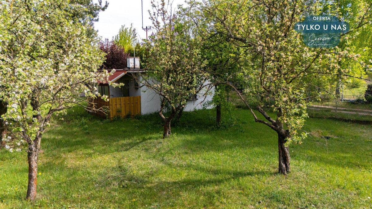 Działka budowlana Kolonia Brużyca, ul. Grzegorza Ciechowskiego. Zdjęcie 11