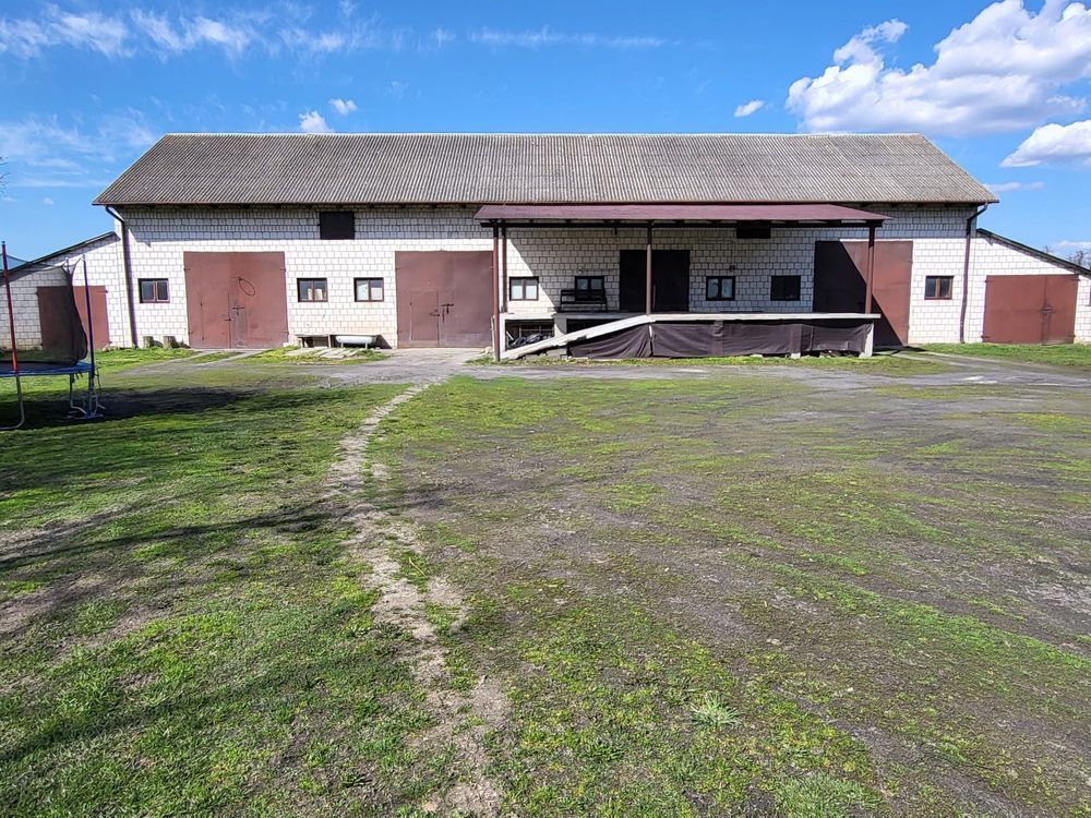 dom wolnostojący Holendry Kozienickie. Zdjęcie 5