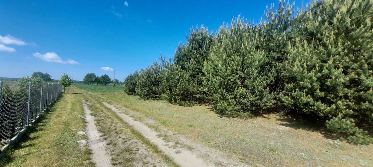 Działka budowlana Dobroń, ul. Zakrzewki. Zdjęcie 5