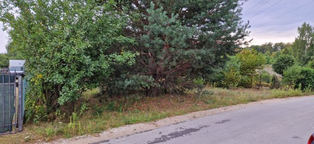 Działka budowlana Dyszów. Zdjęcie 1