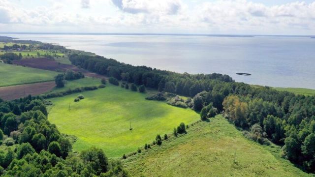 Działka rolna Dziubiele. Zdjęcie 6