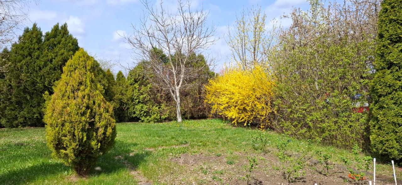 Działka rod Wrocław Osobowice, ul. Paprotna. Zdjęcie 4