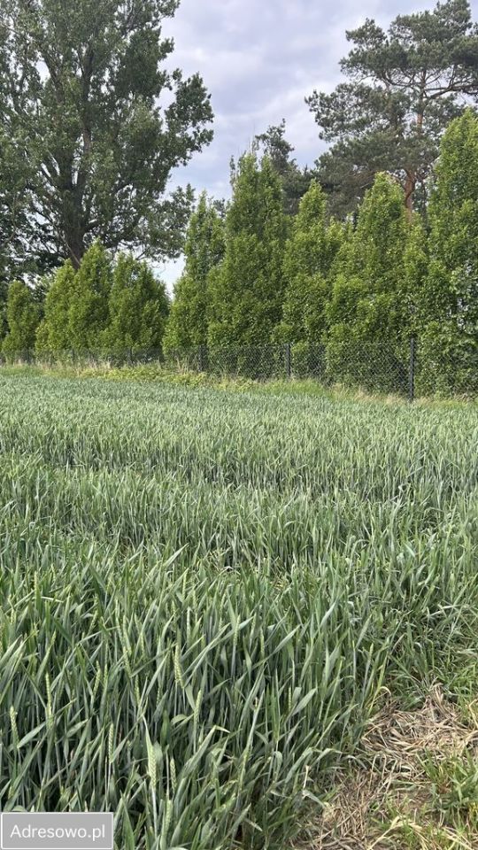 Działka Gardzienice Drugie. Zdjęcie 7