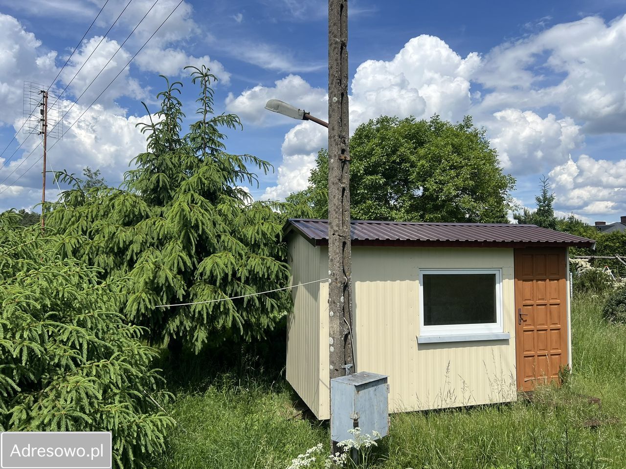 siedlisko, 2 pokoje Śmieszkowo. Zdjęcie 11