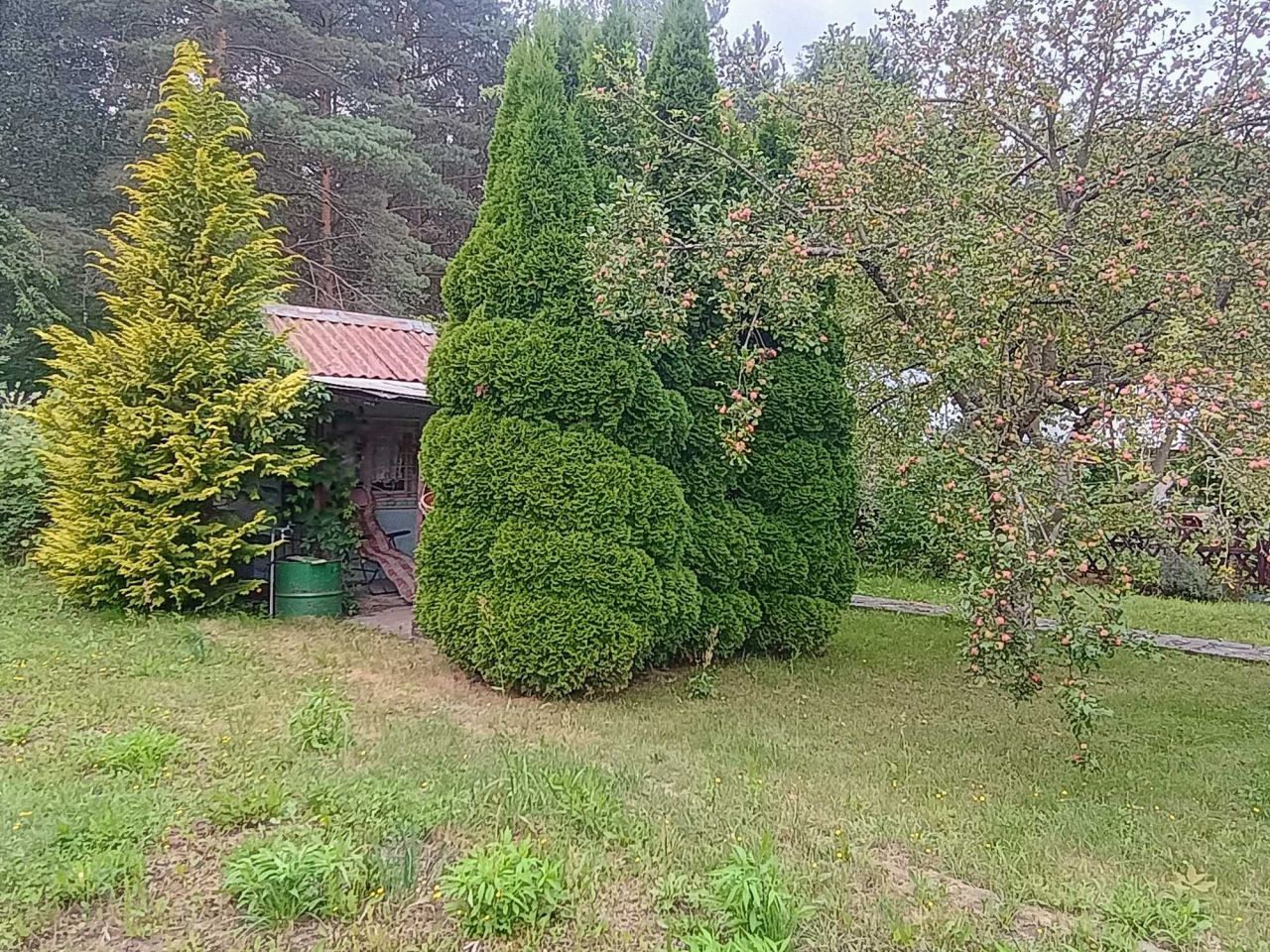 Działka rod Trzcianka. Zdjęcie 3