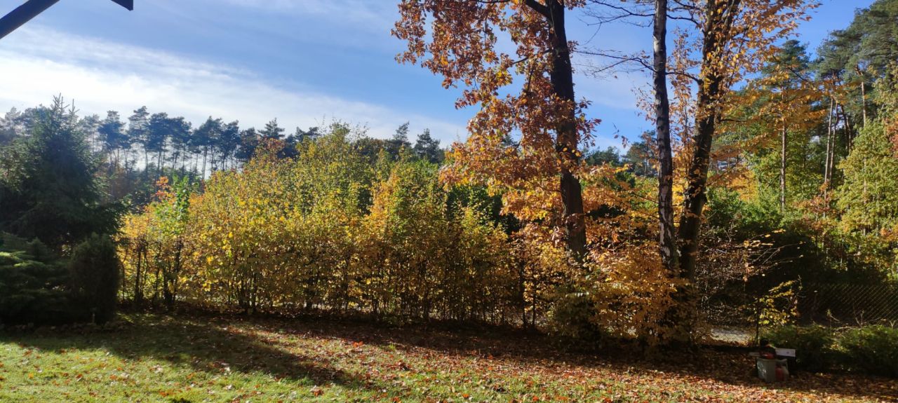 dom wolnostojący, 2 pokoje Wola Cyrusowa-Kolonia. Zdjęcie 10