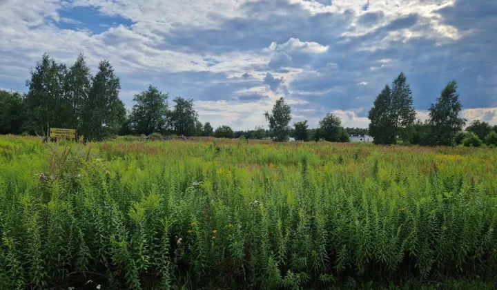 Działka budowlana Łódź Widzew, ul. Nad Niemnem