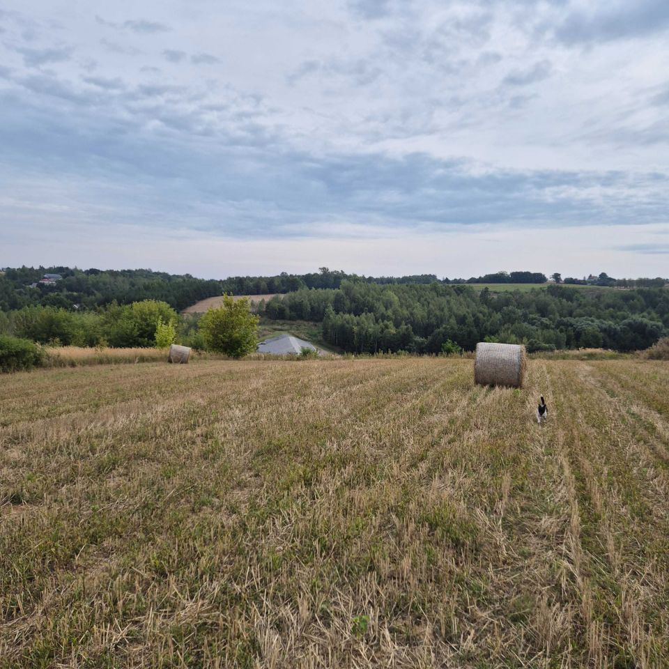 Działka rolna Szwarszowice. Zdjęcie 8