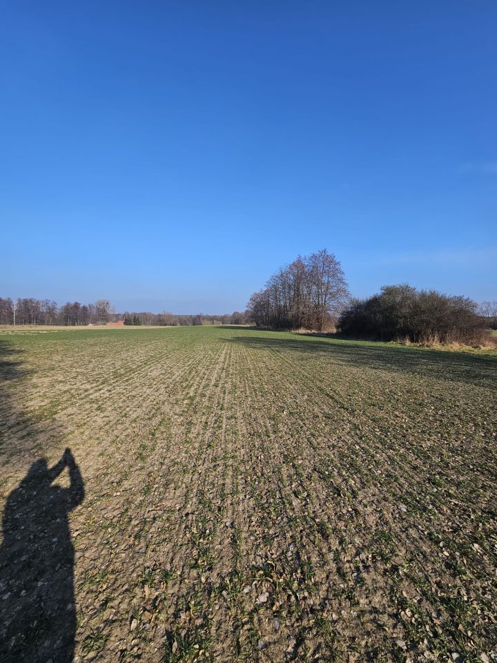 Działka budowlana Pruszkowo. Zdjęcie 5