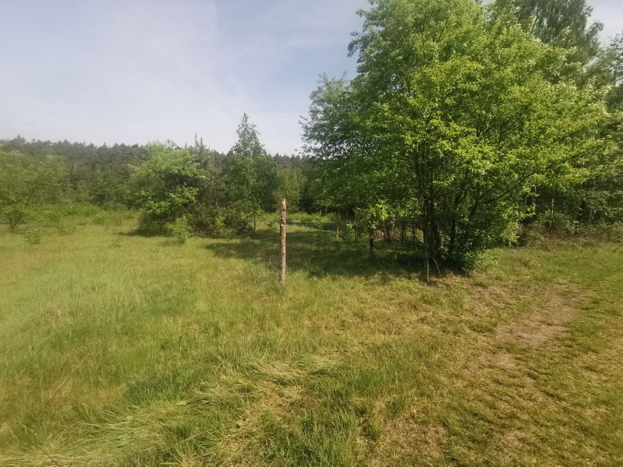 Działka rolno-budowlana Zwoleń. Zdjęcie 6