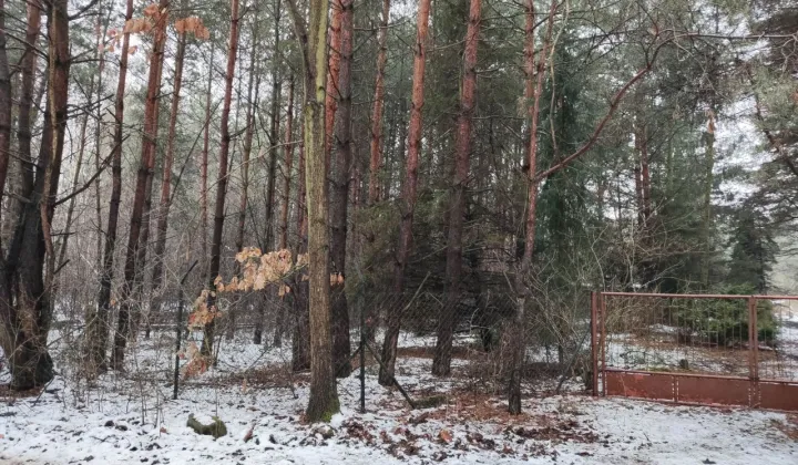 Działka budowlana Siestrzeń