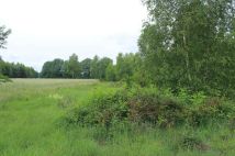 Działka rolna Gościencin. Zdjęcie 4