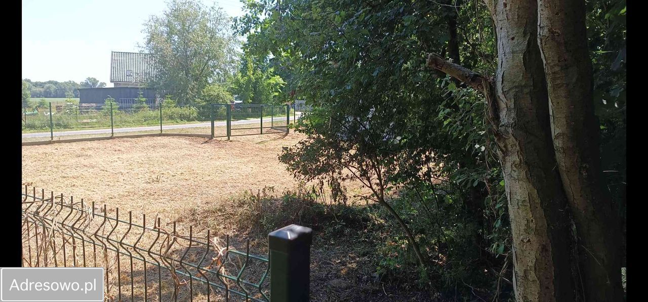 Działka rolno-budowlana Siekierowice. Zdjęcie 4