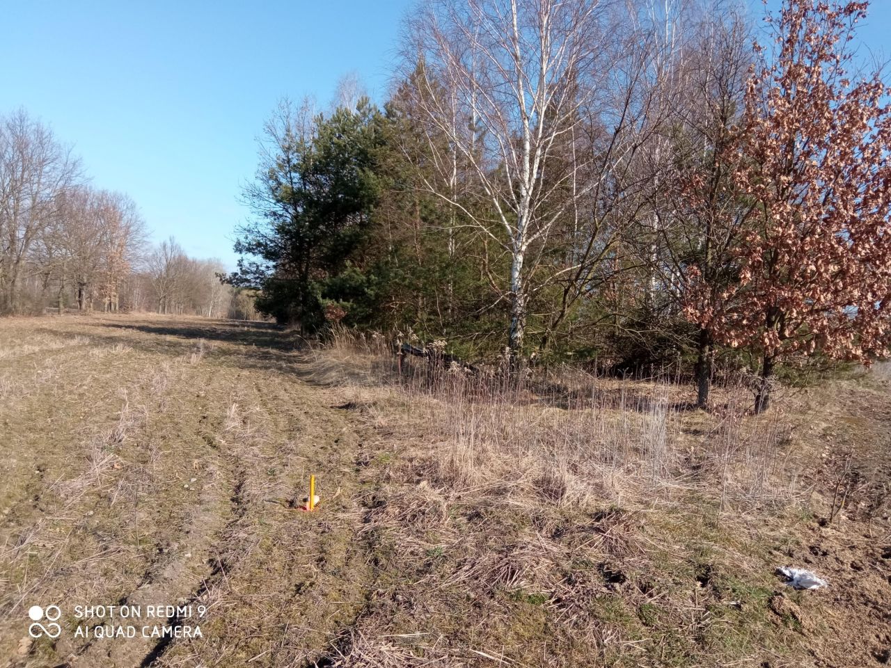 siedlisko, 1 pokój Ławeczko Stare. Zdjęcie 38