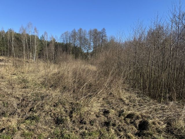 Działka budowlana Prądówka. Zdjęcie 1