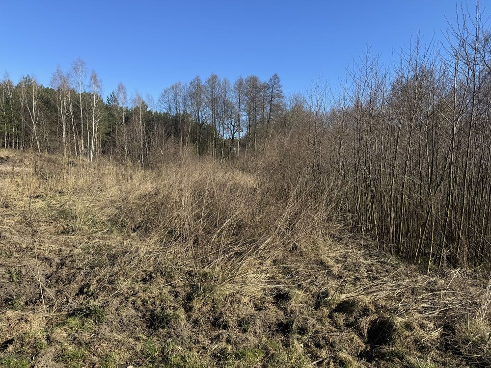 Działka budowlana Prądówka. Zdjęcie 1