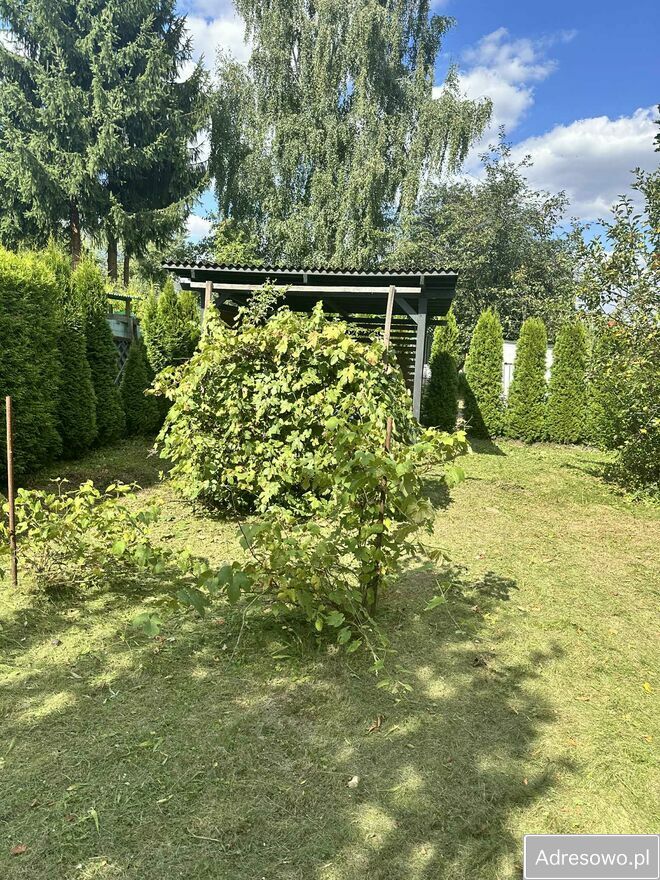 Działka rod Kraków Nowa Huta, ul. Mistrzejowicka. Zdjęcie 3