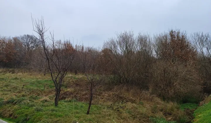 Działka budowlana Strzelno, ul. Wiejska