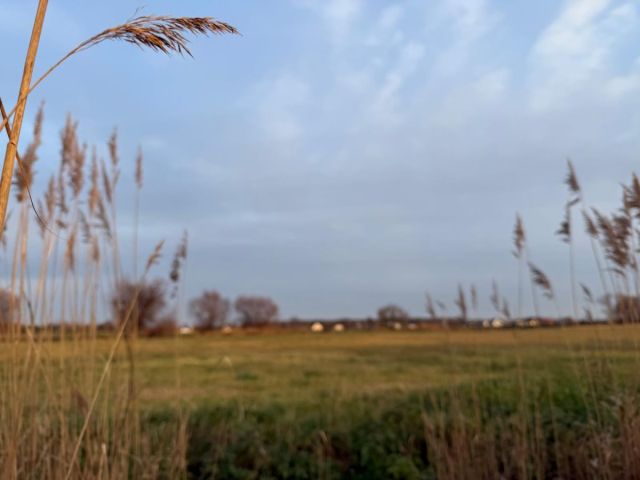 Działka rolna Oleśniczka. Zdjęcie 11