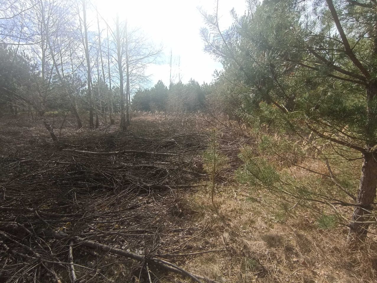 Działka budowlana Przeradowo. Zdjęcie 3