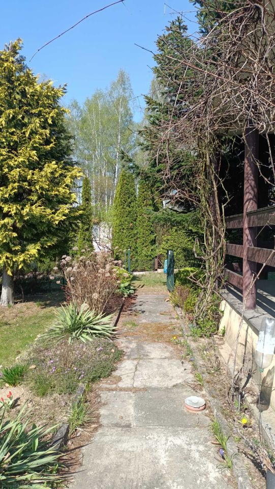 Działka rekreacyjna Łódź, ul. Przylesie. Zdjęcie 6