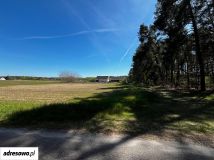 Działka rolno-budowlana Grotów. Zdjęcie 3