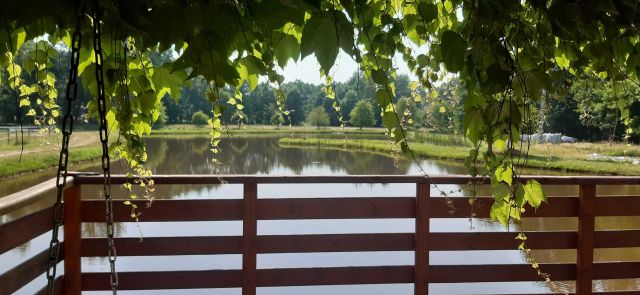 Działka siedliskowa Poręby Kupieńskie. Zdjęcie 1