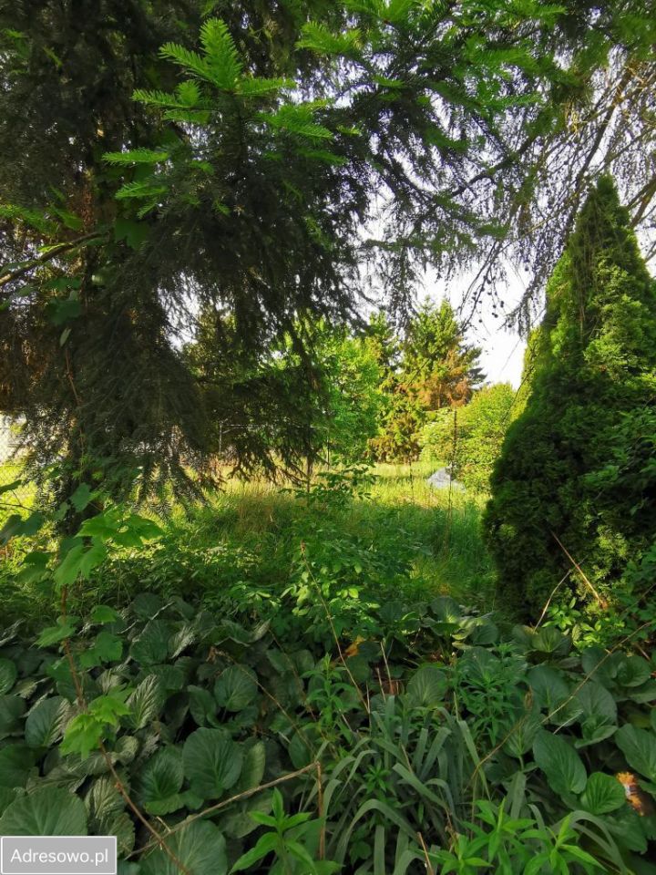 Działka budowlana Jaworowa. Zdjęcie 10