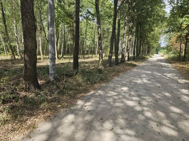 Działka budowlana Żanęcin, ul. Gościniec. Zdjęcie 11