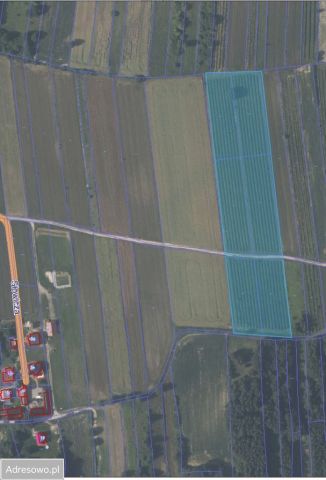 Działka rolna Nałęczów, ul. Powstańców 1863 r.. Zdjęcie 1