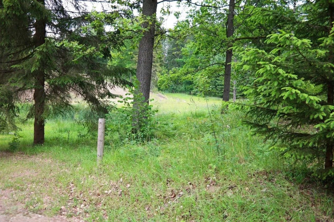 Działka budowlana Purda. Zdjęcie 5