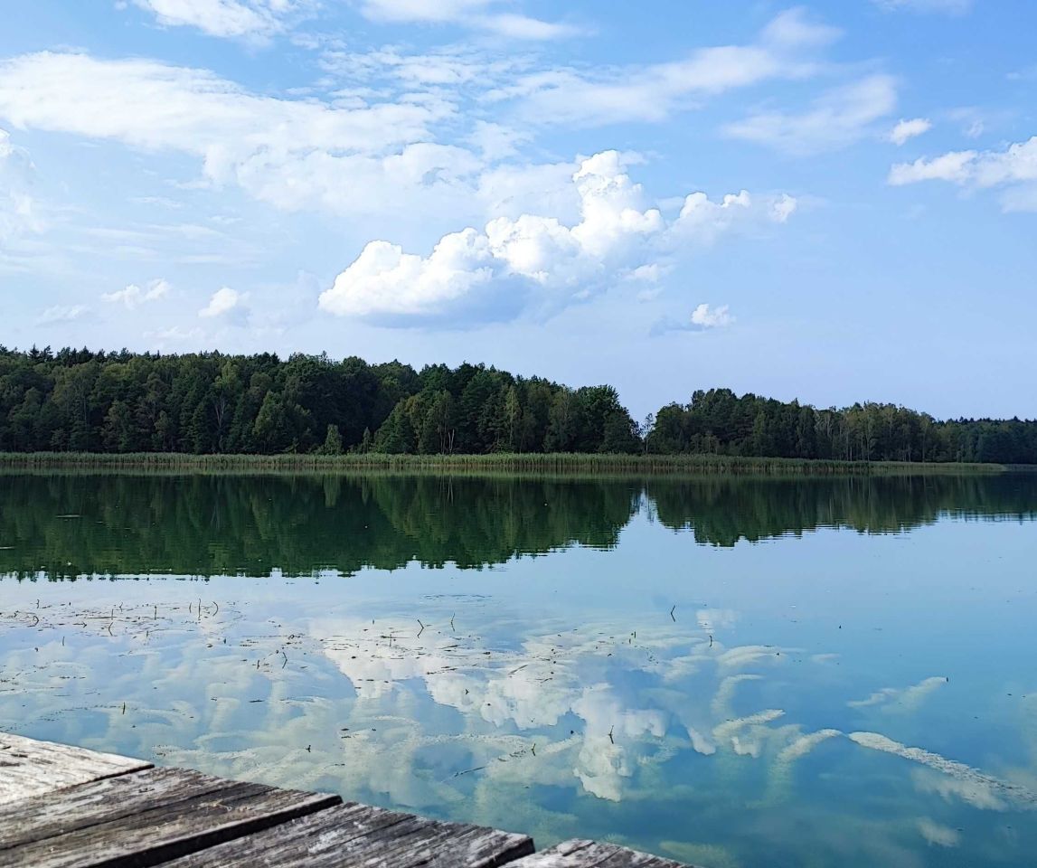 Działka rolna Stare Kiełbonki. Zdjęcie 5