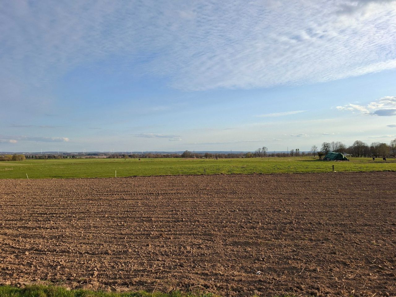 Działka budowlana Aniołowo. Zdjęcie 3