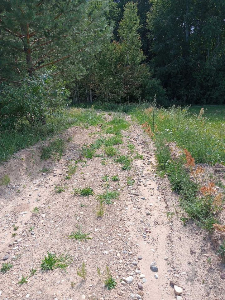 Działka rolno-budowlana Dubowo. Zdjęcie 8