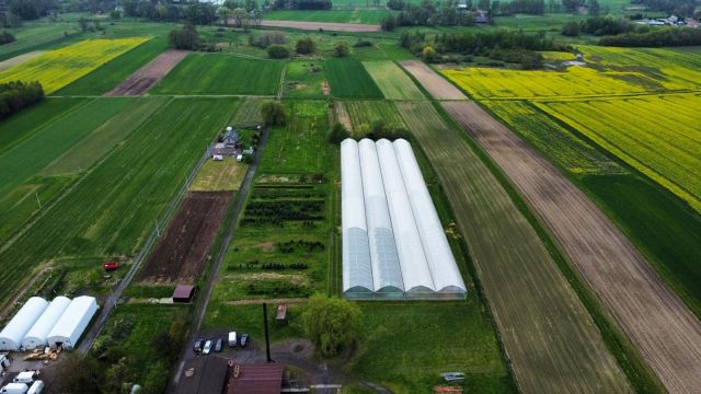 Działka inwestycyjna Jankowice, ul. Złote Łany. Zdjęcie 6